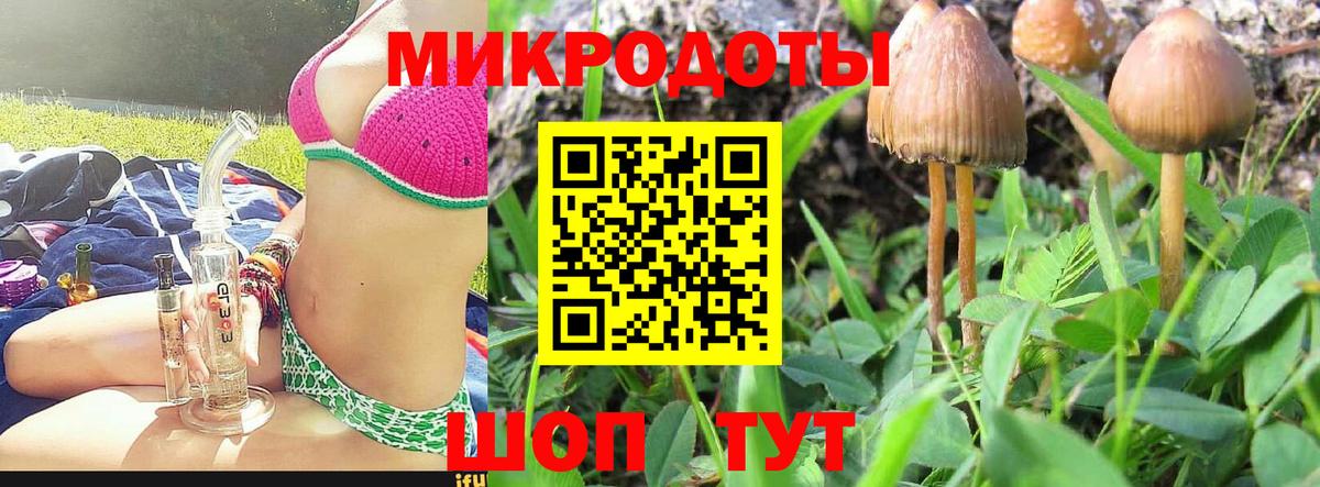 Галлюциногенные грибы Cubensis Нижнеудинск