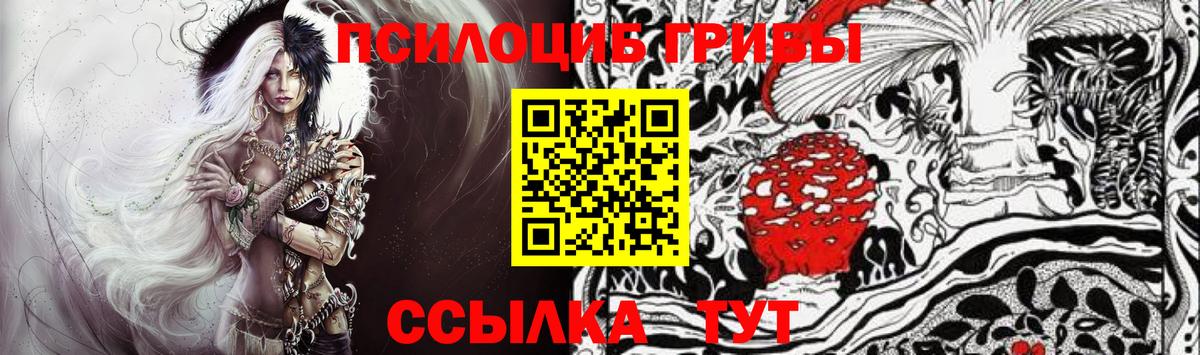 Нижнеудинск  Псилоцибиновые грибы ЛСД  Вход с VPN 